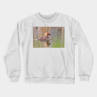 Hooded Merganser Crewneck Sweatshirt